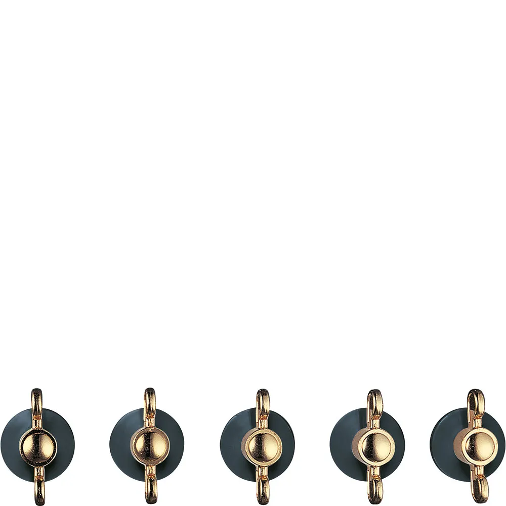 Bếp từ & bếp gas
